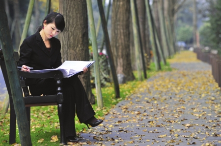 成都銀杏落葉只揀不掃 美景可欣賞至下月初