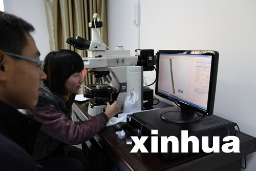 神農架首次公布不明動物毛發顯微照