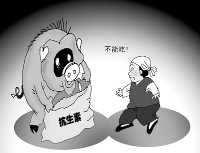 我國養殖業存在抗生素濫用 吃肉恐吃下