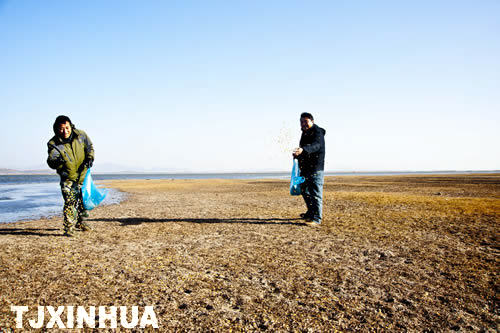 天鵝南遷蒞津門