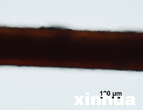 專家稱神農架野人不存在 野人紅毛皆是偽造