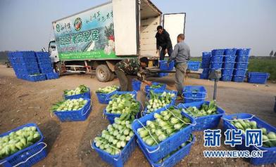 農副產品漲價態(tài)勢初步遏制 穩(wěn)物價仍面臨三大難題