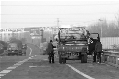 灌水只要兩分鐘 生豬注水何時休？
