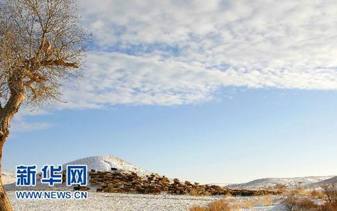 新疆阿勒泰百萬牲畜大轉場