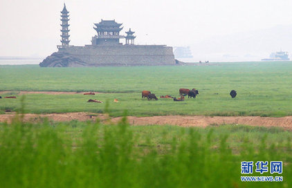 長江中下游“旱澇急轉” 專家解讀極端天氣現象