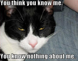 如何用地道英語表達“一竅不通”