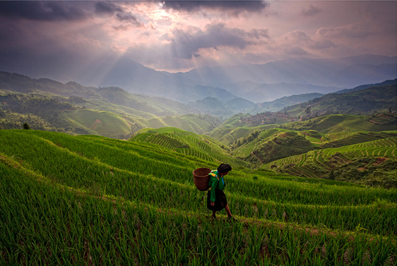 一起來(lái)看看世界各地的早晨