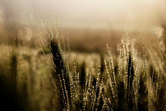 一起來看看世界各地的早晨