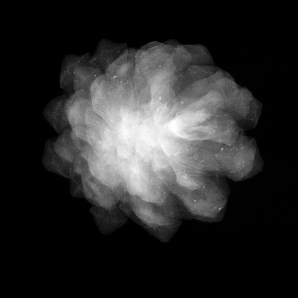 深入神秘的世界末日種子庫