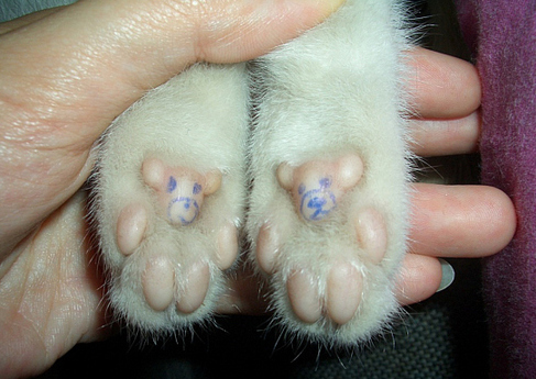 好歡樂！張張有亮點