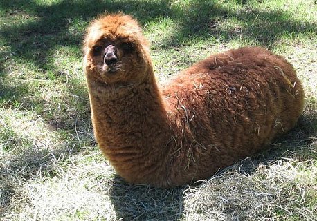 好歡樂！張張有亮點