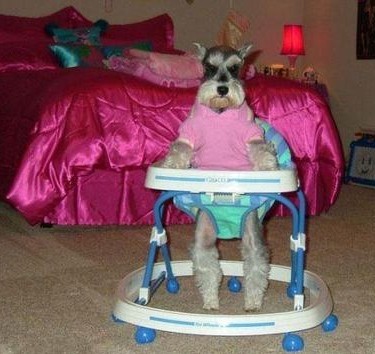 好歡樂！張張有亮點(diǎn)