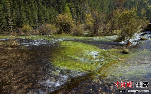 盤點國內十大“秋色”