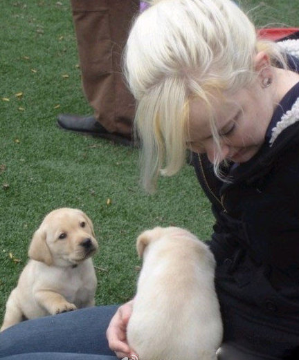 心情不好時(shí)看看這些趣圖吧