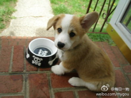 心情不好時看看這些趣圖吧