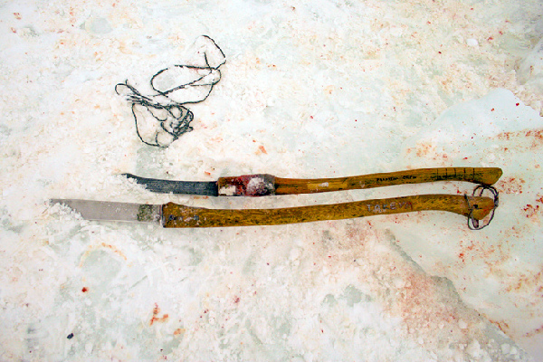 揭秘愛斯基摩人強悍捕鯨全程