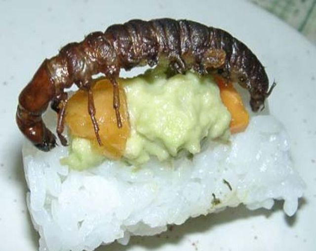 重口味:昆蟲壽司你敢吃嗎?