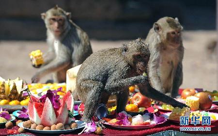 猴子的宴會
