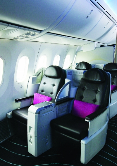 波音787亮相羊城 主打“夢(mèng)幻”搶客(組圖)