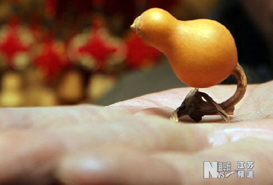 南京驚現(xiàn)“天價(jià)葫蘆”