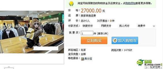 能買猴子當(dāng)寵物 人類已經(jīng)無(wú)法阻止網(wǎng)購(gòu)了