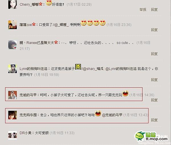 能買猴子當(dāng)寵物 人類已經(jīng)無法阻止網(wǎng)購了