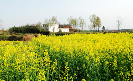 河南商城縣：鄉(xiāng)村美景如畫來(lái) （組圖）