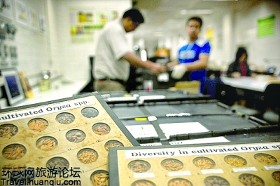 揭秘“末日種子庫”：能抵抗任何災(zāi)難的地方