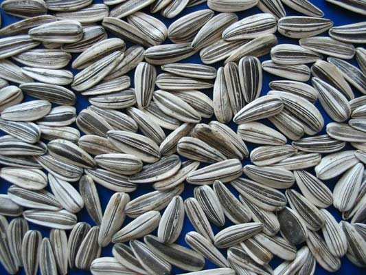 12類超級食物迅速修復“透支”身體