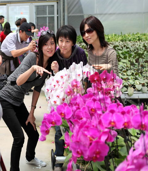 泰安:以創意旅游產品吸引港澳游客