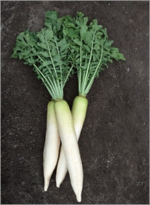 美膚推介：排毒功能最強的19種食物(組圖)