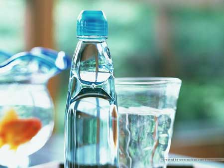 吃土豆不會(huì)發(fā)胖 擊破19個(gè)最“坑爹”的飲食謠言