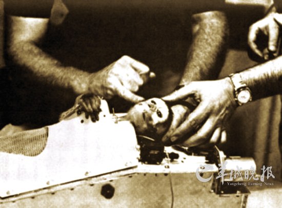 史上進入太空的“動物航天員”