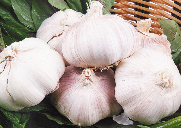 細數8種最有益的“難吃”食物