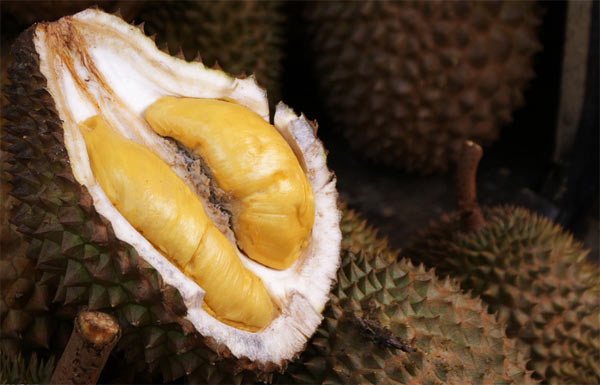 細數(shù)8種最有益的“難吃”食物