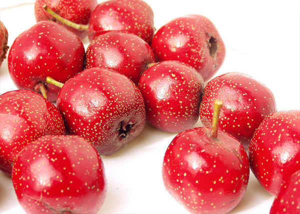 細數8種最有益的“難吃”食物