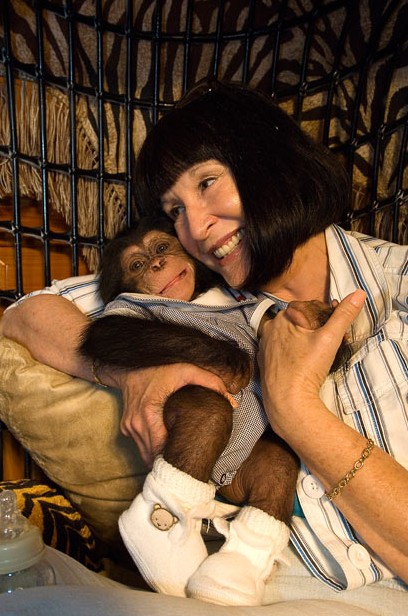 美國人什么寵物都敢養 猛獸成為家庭成員