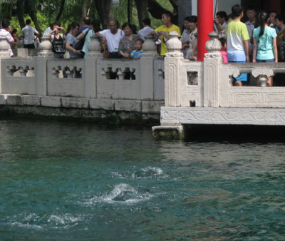 連續(xù)降雨為濟(jì)南泉水注入活力