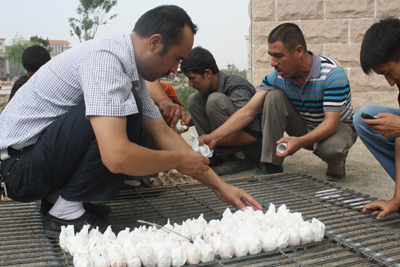 新疆且末：準備“萬人金蛋宴”