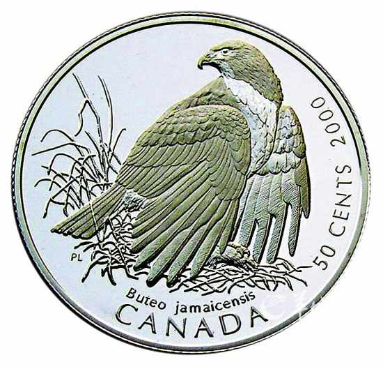 硬幣上的動物世界：蝙蝠鯧性情嬌羞