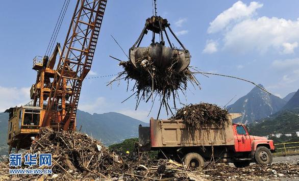 三峽水庫漂浮物成“新能源”