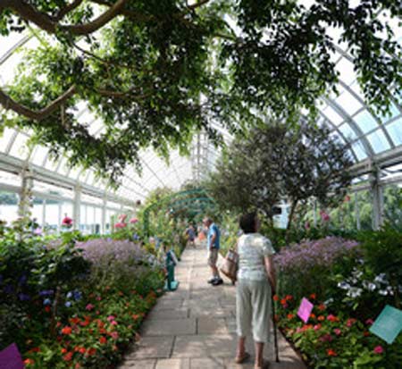 還能再神奇點嗎？游客落下的那些怪異物品（組圖）