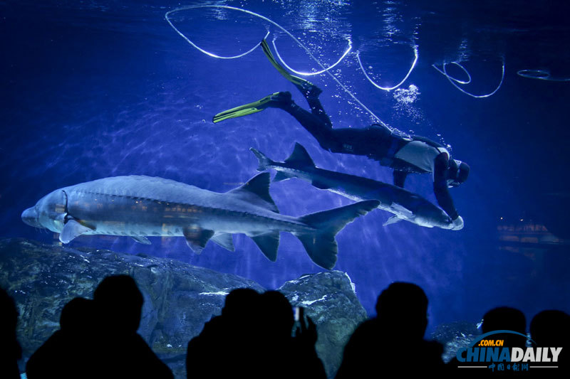 《中國日報》一周圖片精選:12月15日-12月21日