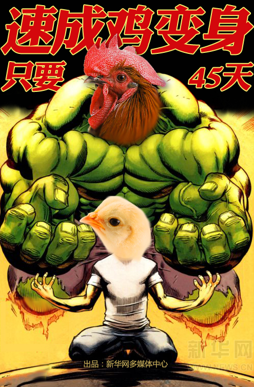 新華漫畫:如何分辨土雞VS速成雞