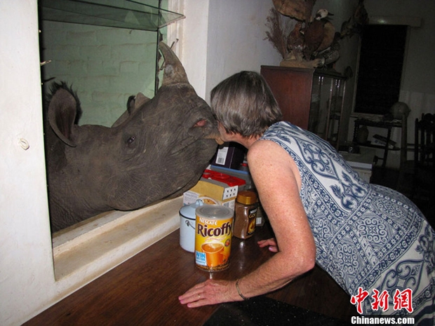 這才叫高手！2012奇人榜出爐