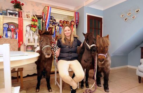 小馬被寵壞 與主人同住室內、愛看電視(組圖)