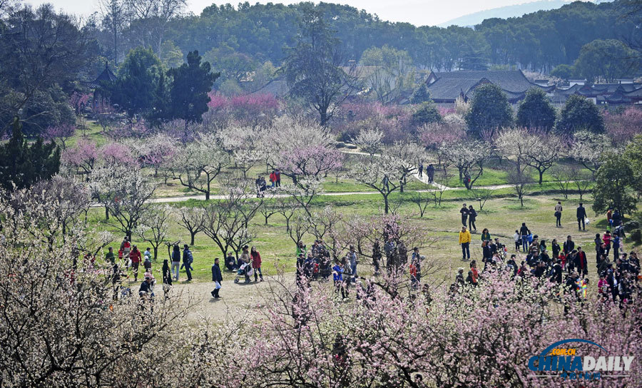 聚焦美麗中國之“春天在哪里”