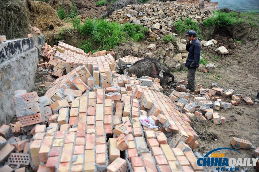 震區表情：甘肅定西6.6級地震災后見聞