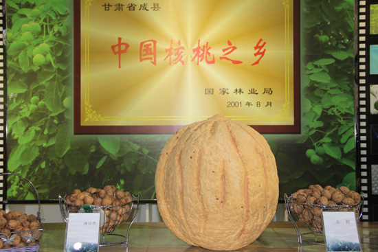 甘肅隴南成縣利用網絡新媒體推介做強核桃產業 促進農民增收