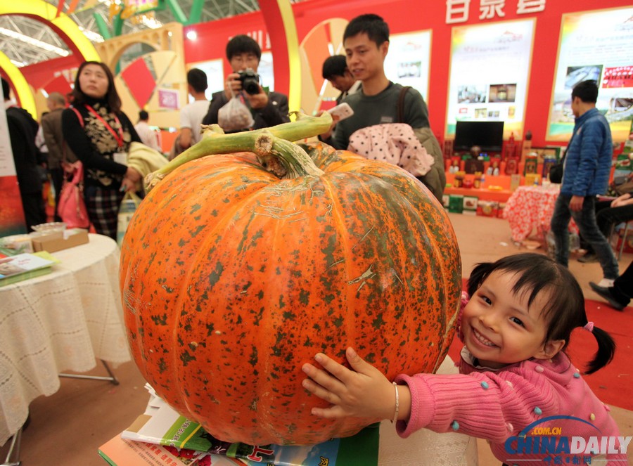 220斤南瓜王亮相楊凌農(nóng)高展